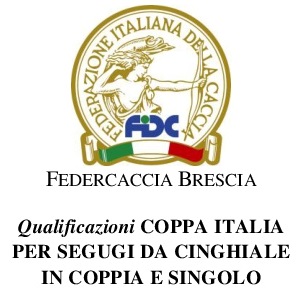 Logo Coppa Italia Cinghiale