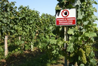 Pesticidi e chimica contro l’ambiente