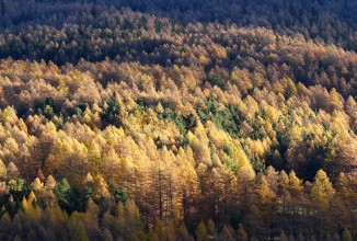 Trasmessa al Parlamento la Relazione sullo Stato dell’Ambiente