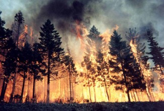 Incendi, Coldiretti: “Caldo e siccità, è allarme anche in Italia”. Ecco il decalogo