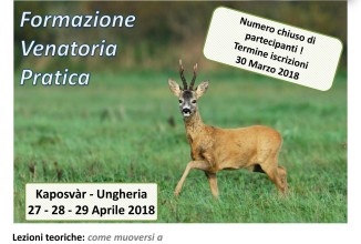 Academy: Formazione Venatoria Pratica in Ungheria