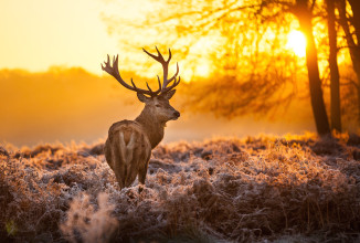 PER UN GIUSTO RAPPORTO TRA UOMO E NATURA