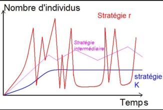 Dinamica di popolazione: specie a strategia r e specie a strategia K