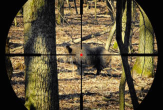 IL CONTROLLO DELLA FAUNA, ATTIVITA’ REGOLARMENTE ASSICURATA: FEDERCACCIA LOMBARDIA A DISPOSIZIONE DELLE ISTITUZIONI