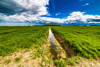 SERVE PIÙ RIGORE PER IL RISPETTO DELLA NATURA