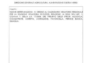 Decreto n.14706 del 14/10/2019 nuove determinazioni in ordine al calendario Regionale