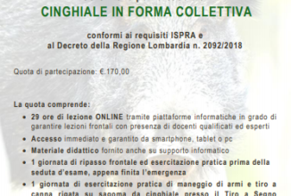 La caccia al cinghiale si impara on-line