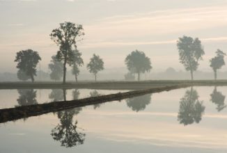 ZONE UMIDE, DA BRUXELLES TROPPI VINCOLI