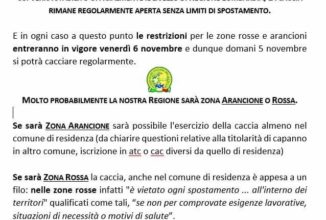 AGGIORNAMENTO EMERGENZA COVID19 SU APPLICAZIONE DPCM 3 NOVEMBRE IN LOMBARDIA