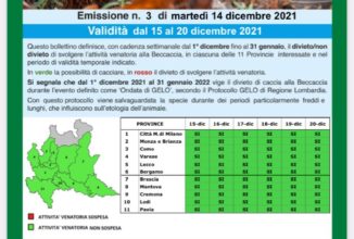 TERZA SETTIMANA DEL METEO BECCACCIA