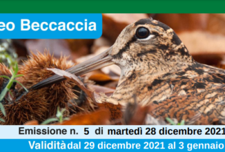 AGGIORNAMENTO SETTIMANALE METEO BECCACCIA