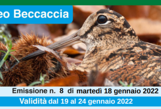 AGGIORNAMENTO SETTIMANALE METEO BECCACCIA