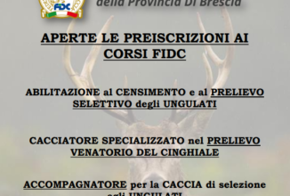 Cacciatore specializzato nel prelievo venatorio del cinghiale