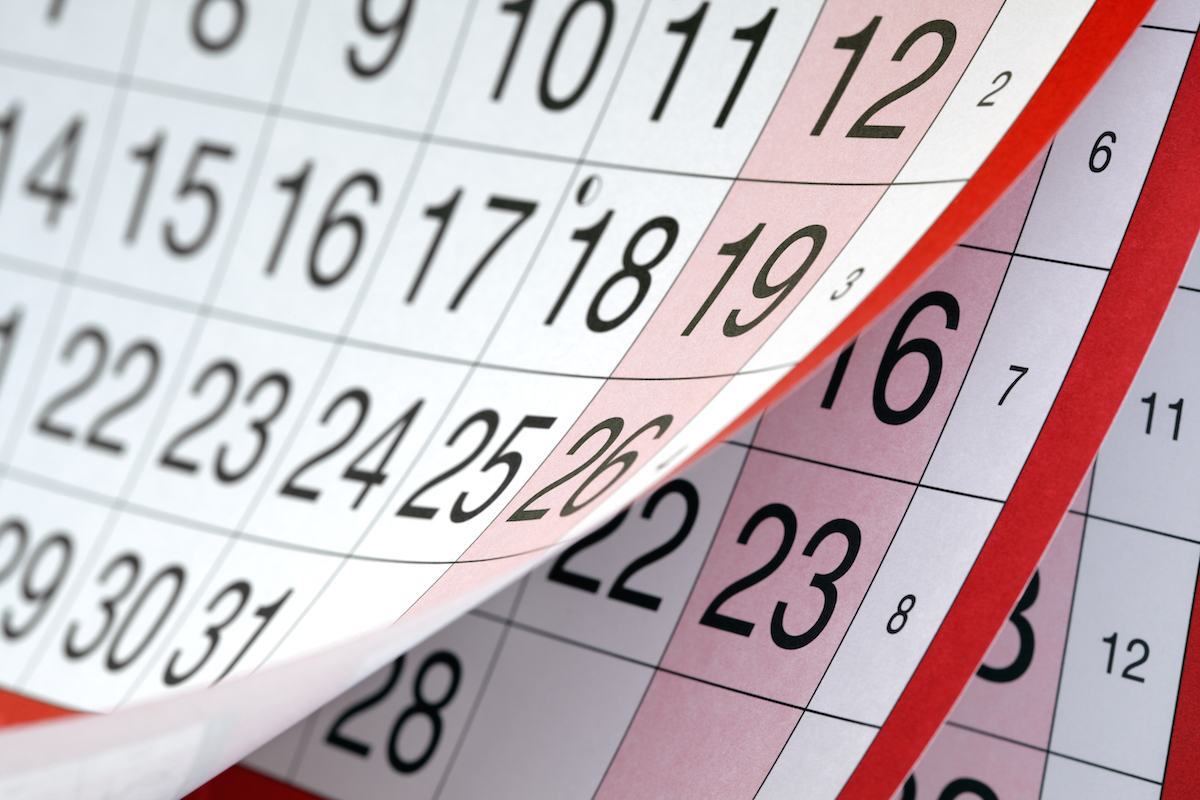 Calendario venatorio lombardo 20242025 tutte le regole per la