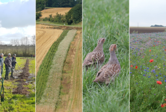 FACE. ADOTTATA LA LEGGE SUL RIPRISTINO DELLA NATURA
