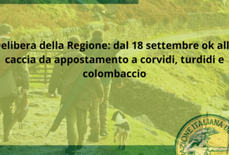 Delibera della Regione: dal 18 settembre consentita la caccia da appostamento a corvidi, turdidi e colombaccio