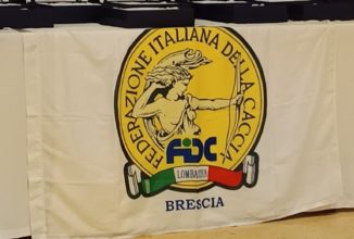 GARE CINOFILE, LA FESTA CON I CAMPIONI