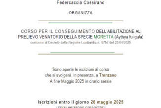 Corso di Abilitazione al Prelievo Venatorio della Moretta (Aythya fuligula)