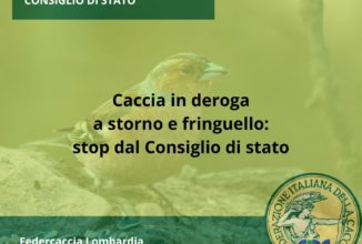 Caccia in deroga sospesa in Lombardia: l’ordinanza del Consiglio di Stato