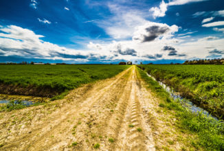 Servizio Civile Agricolo, 4600 candidature al suo debutto