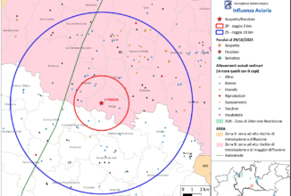 Influenza aviaria: nuovi focolai in Lombardia. Focus sulla provincia di Brescia e le regole da seguire
