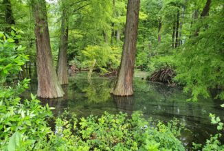 FEDERCACCIA PARATICO SU “DIANA E WILDE”
