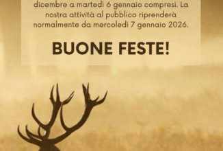 AUGURI DI BUON NATALE E FELICE ANNO NUOVO