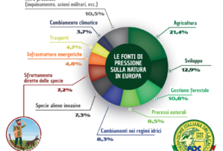 NATURA SOTTO PRESSIONE? NON CERTO A CAUSA DEI CACCIATORI