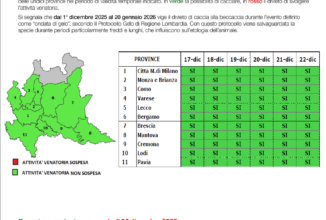 AGGIORNAMENTO SETTIMANALE METEO BECCACCIA