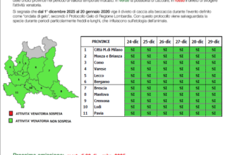 AGGIORNAMENTO SETTIMANALE METEO BECCACCIA