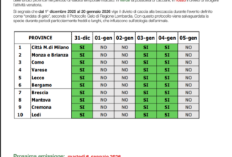 AGGIORNAMENTO SETTIMANALE METEO BECCACCIA