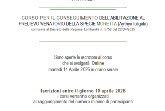 Corso Abilitazione Prelievo Venatorio Moretta 2026: Info e Iscrizioni Federcaccia Brescia
